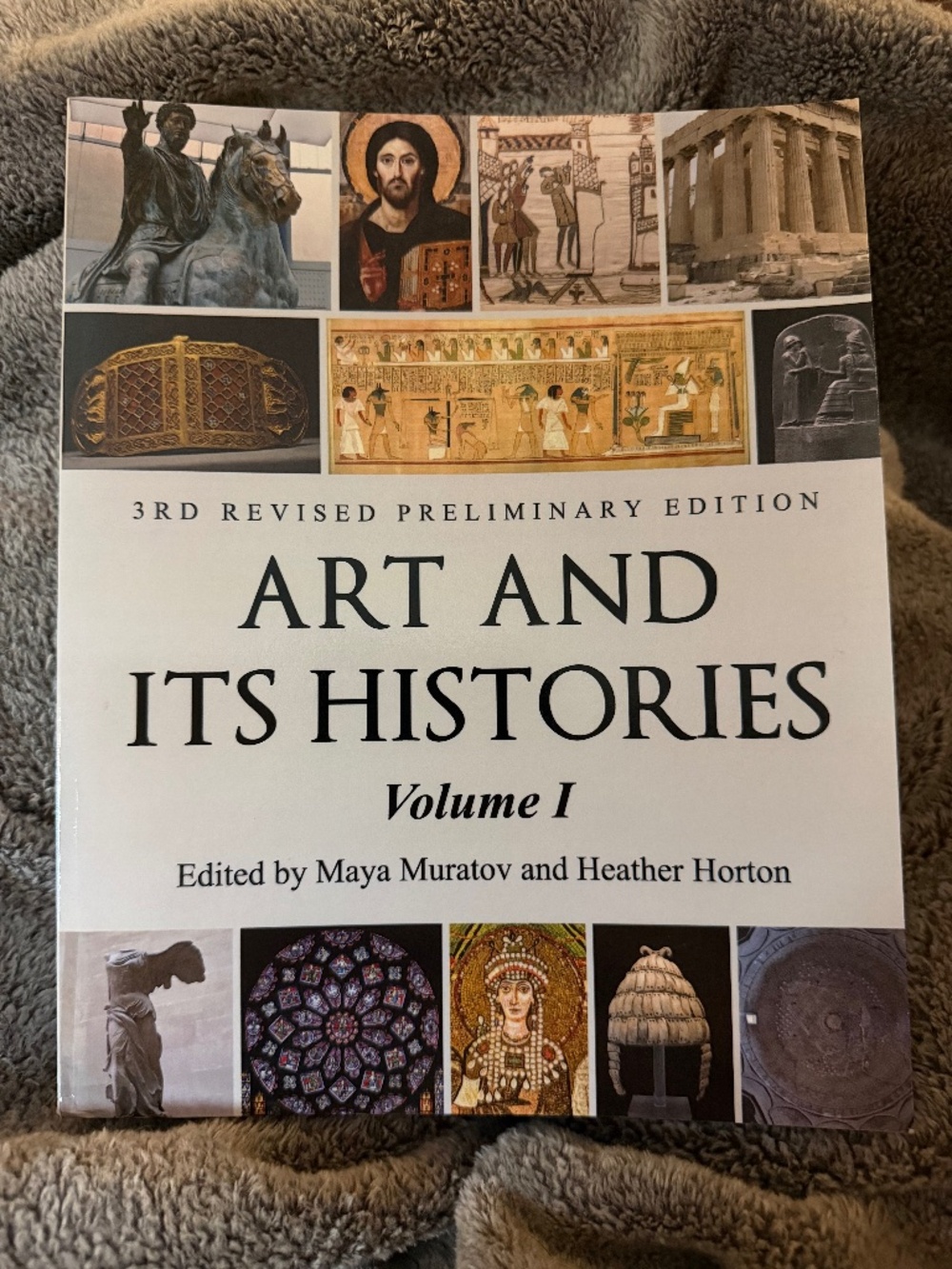 Art and Its Histories : From Prehistory Through Gothic by Maya Muratov Paperback